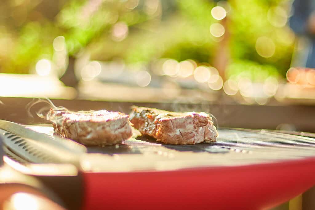 Barbecue électrique ou barbecue gaz