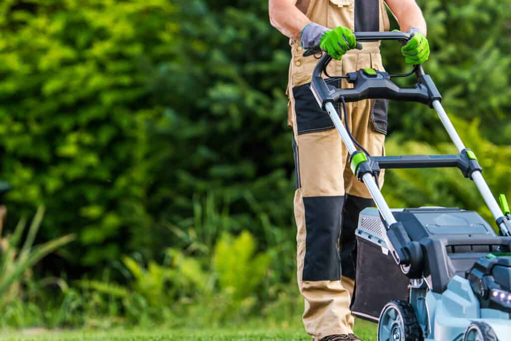 Tondeuse à gazon électrique